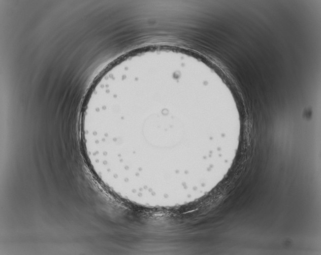 X0000115240791200912111053