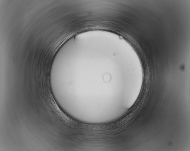 X0000115240793200912111053