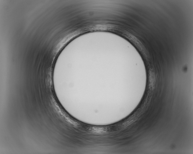 X0000115240794200912111053