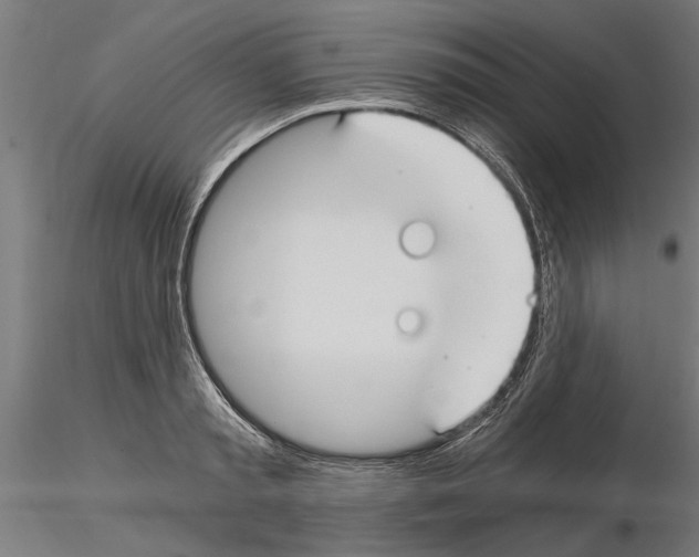 X0000115240797200912111053