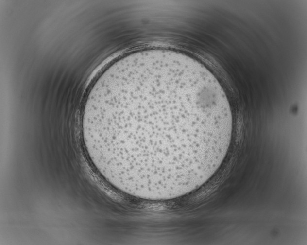 X0000115240798200912111053