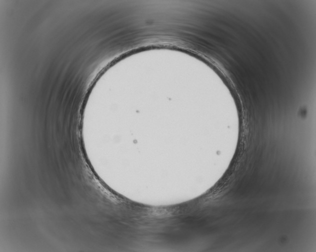 X0000115240799200912111053