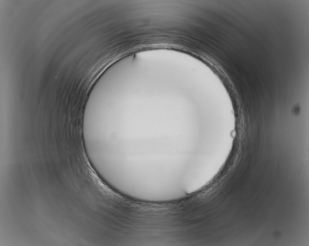 X0000115240801200912111053