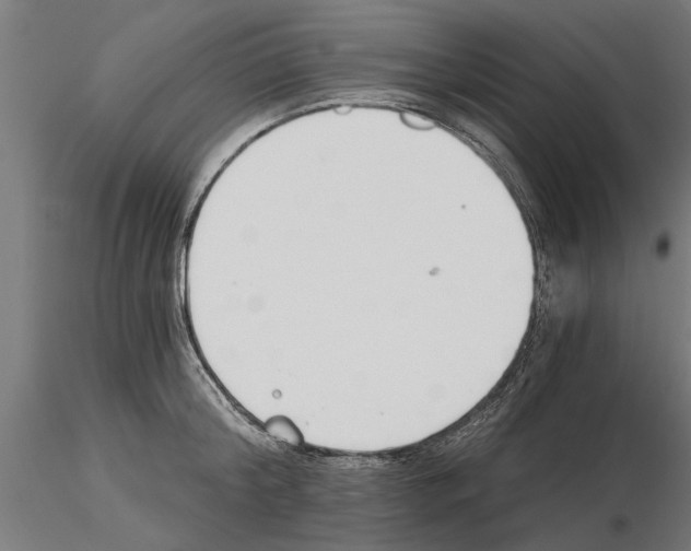 X0000115240804200912111053