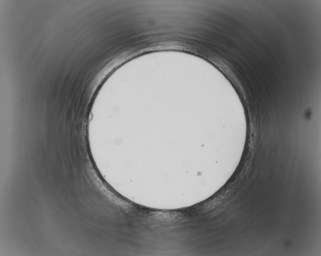 X0000115240805200912111053