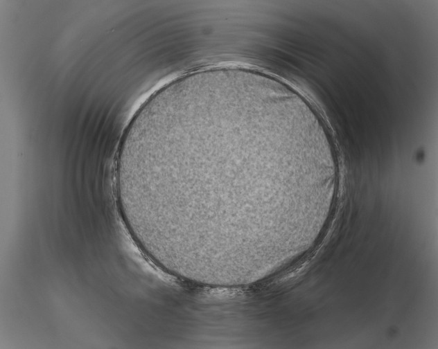 X0000115240806200912111053