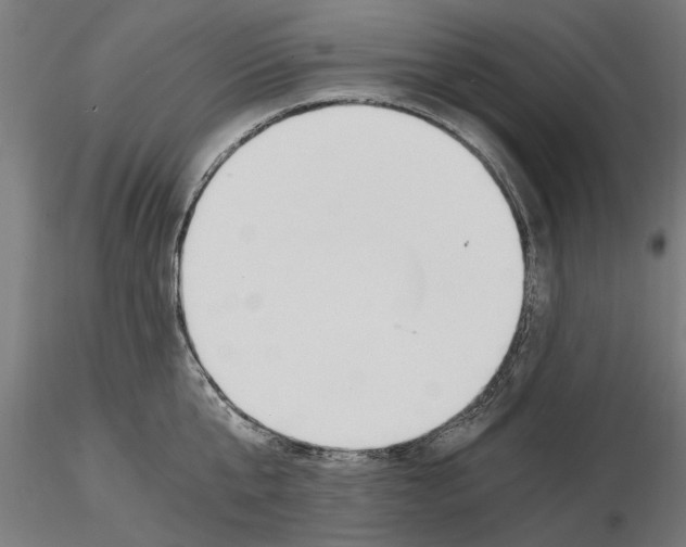 X0000115240807200912111053