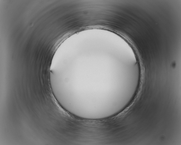 X0000115240809200912111053