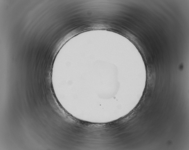 X0000115240810200912111053