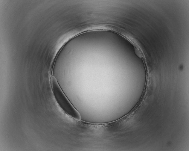 X0000115240813200912111053