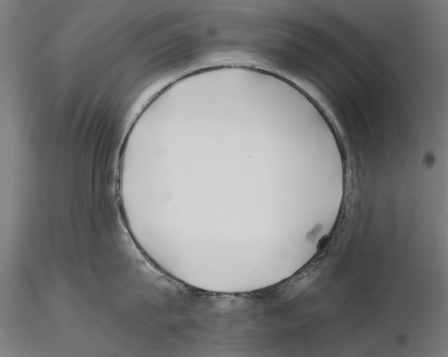 X0000115240815200912111053