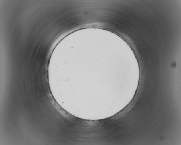 X0000115240816200912111053