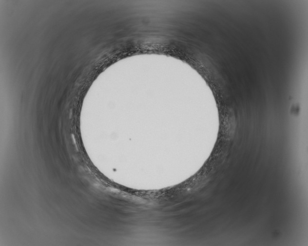 X0000115240817200912111052