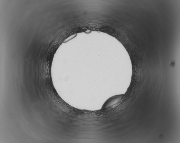 X0000115240818200912111052