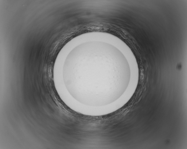 X0000115240820200912111052