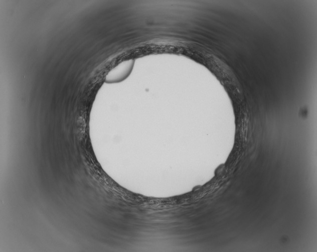 X0000115240821200912111052