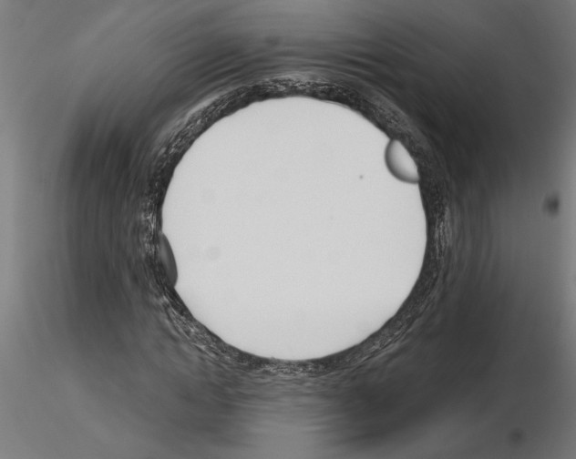 X0000115240822200912111052