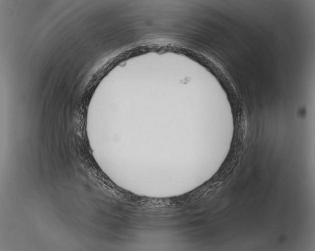 X0000115240823200912111052