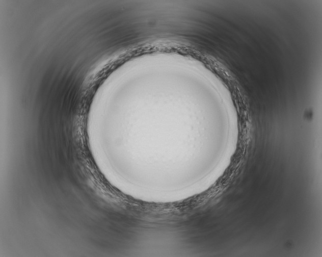 X0000115240824200912111052