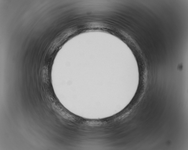 X0000115240825200912111052