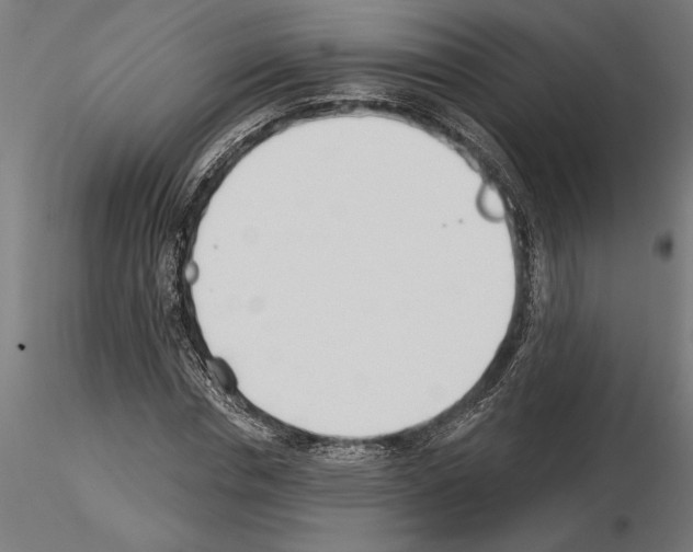 X0000115240826200912111052