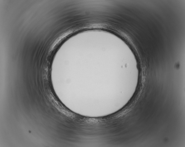 X0000115240827200912111052