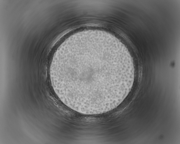 X0000115240829200912111052