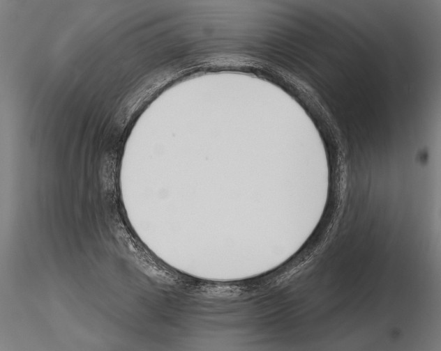 X0000115240833200912111052