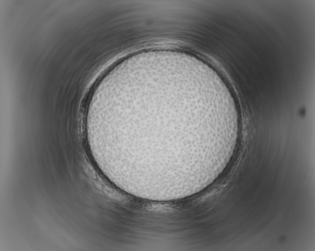 X0000115240835200912111052