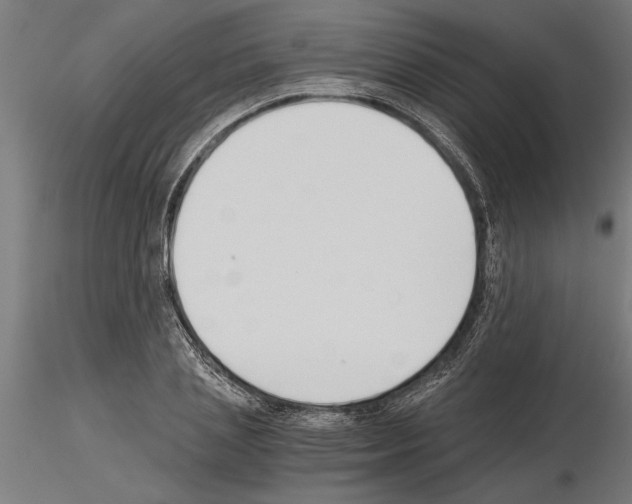 X0000115240837200912111052