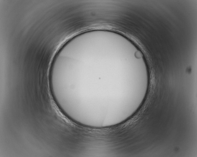 X0000115240840200912111052