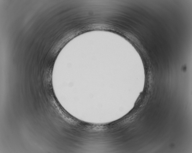 X0000115240841200912111052