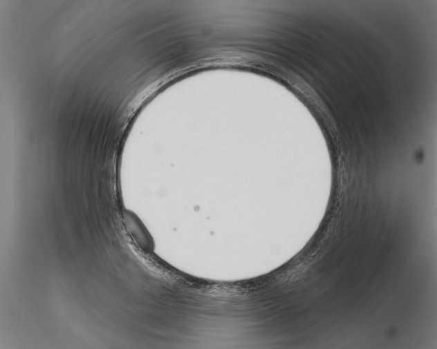 X0000115240842200912111052