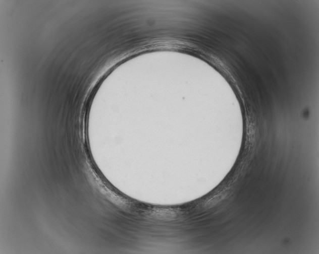 X0000115240843200912111052