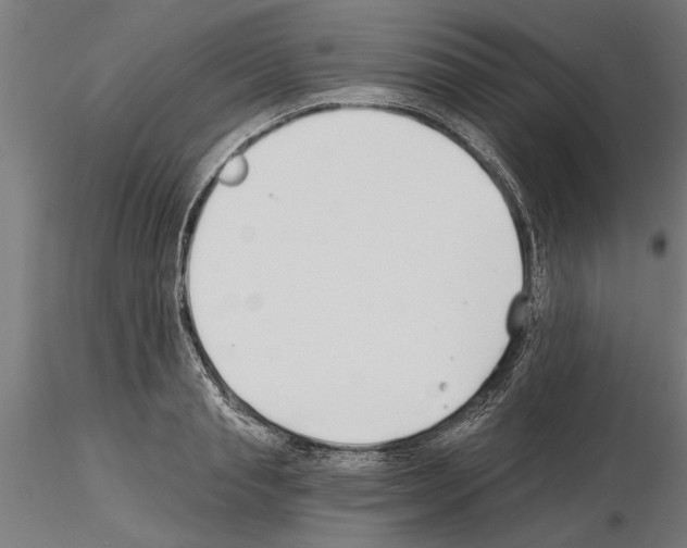 X0000115240845200912111052