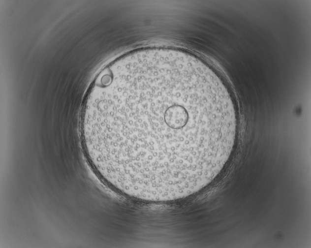 X0000115240847200912111052