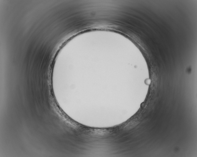 X0000115240848200912111052