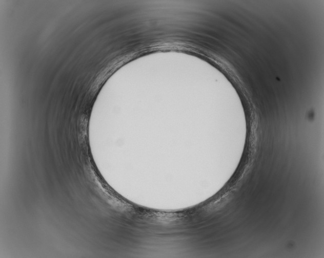 X0000115240849200912111052