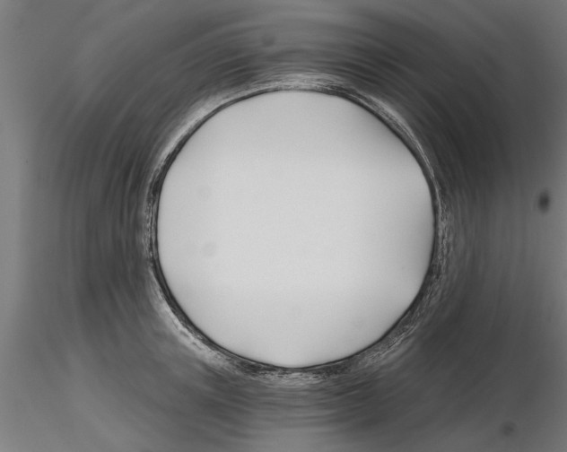 X0000115240851200912111052