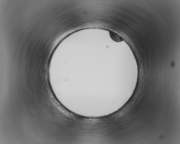 X0000115240854200912111053