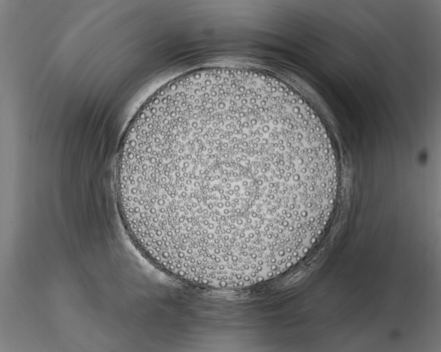 X0000115240855200912111053