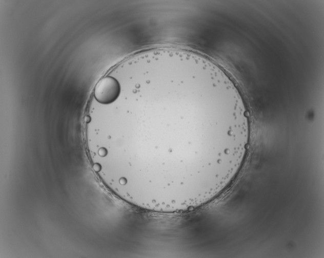 X0000115240856200912111053