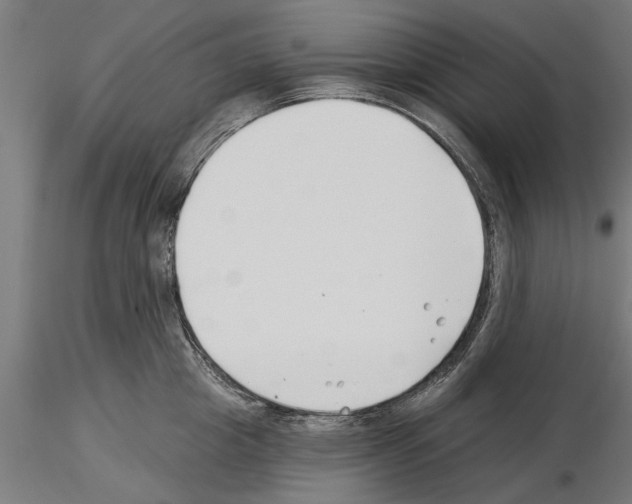 X0000115240857200912111053