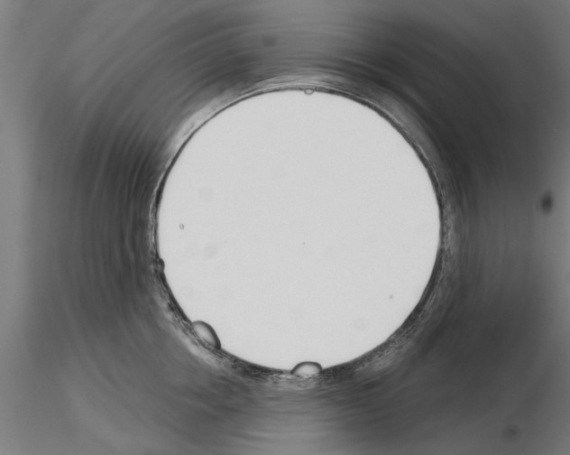 X0000115240858200912111053