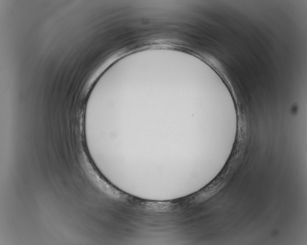 X0000115240859200912111053