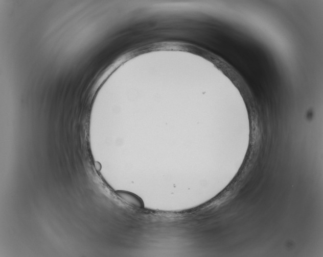 X0000115240860200912111053