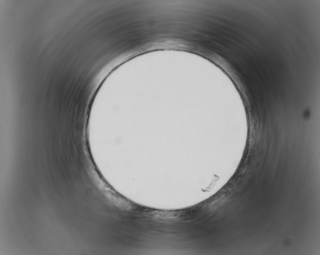 X0000115240861200912111053