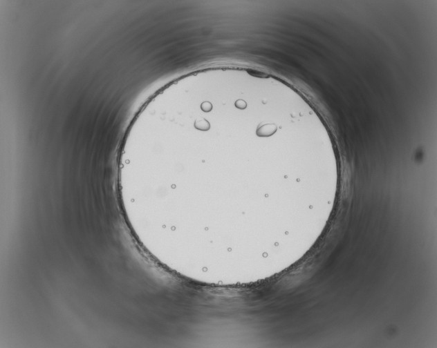 X0000115240862200912111053