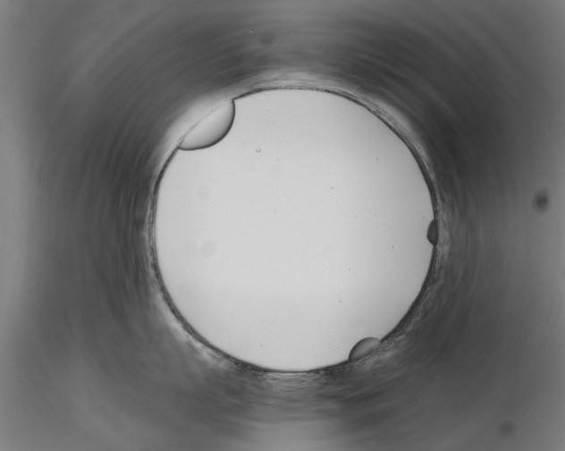 X0000115240863200912111053