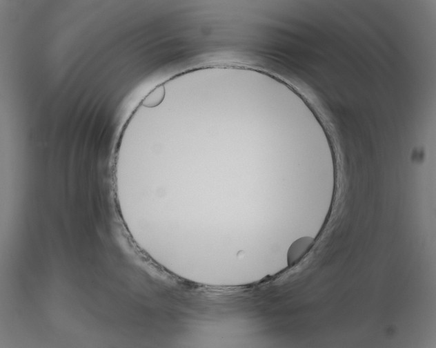 X0000115240864200912111053